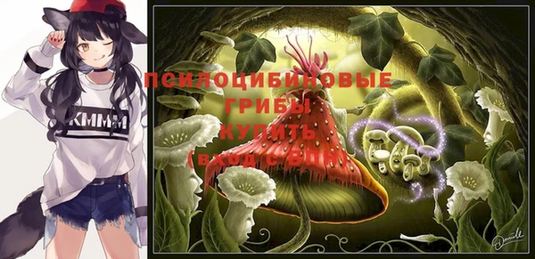 сатива Белокуриха
