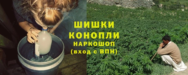 сатива Белокуриха