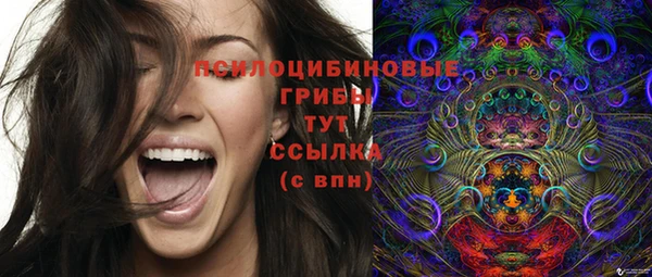 сатива Белокуриха