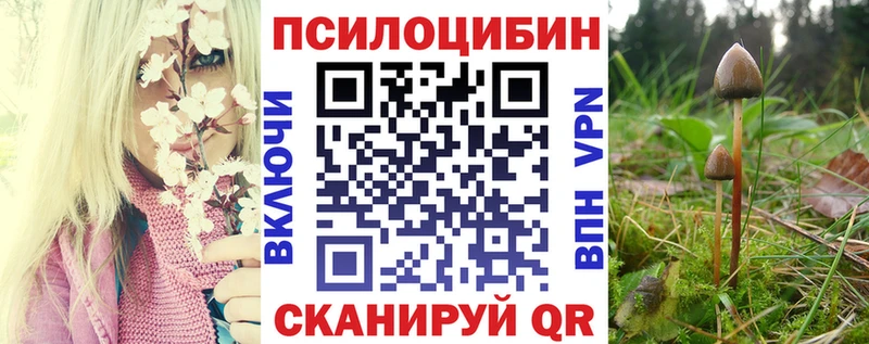 наркошоп  Тосно  Псилоцибиновые грибы Cubensis 